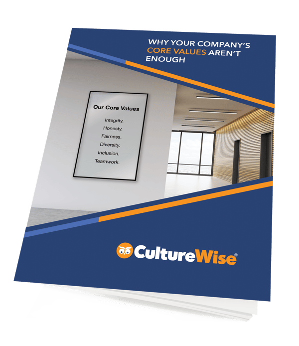 Why your companys core values arent enough